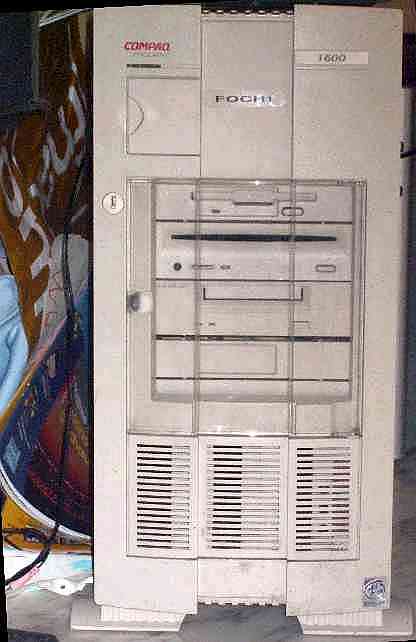 La bestiole en question