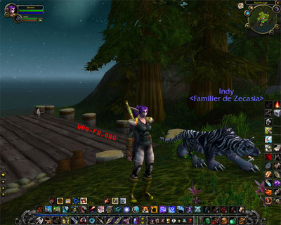 Zecasia : Chasseresse Elfe de niveau 40.