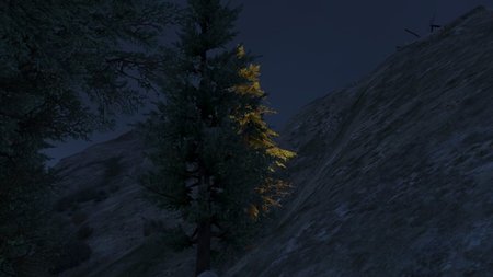 Arbre au pied du Mont Gordo.