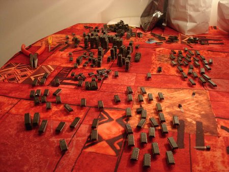 troupeau de puces1.JPG